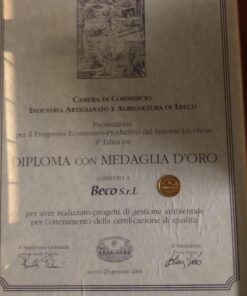 Diploma con vera medaglia d’oro
