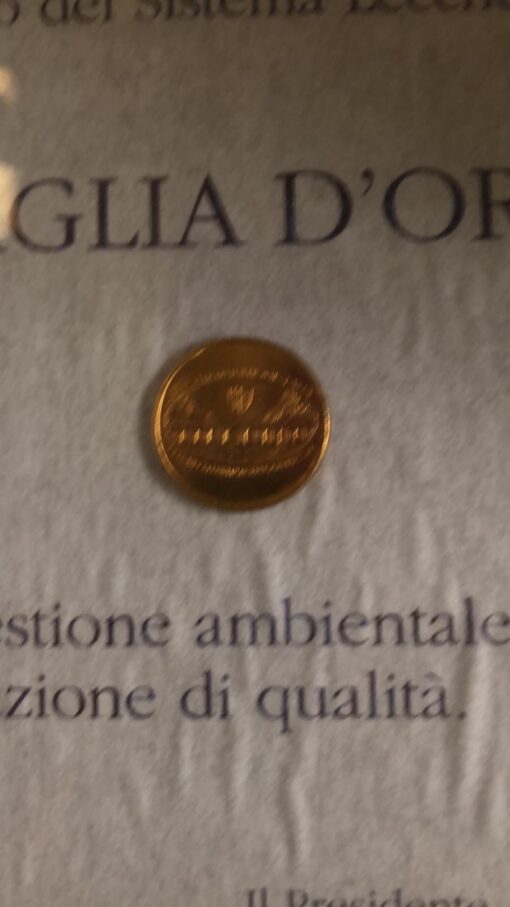 Diploma con vera medaglia d’oro - immagine 2